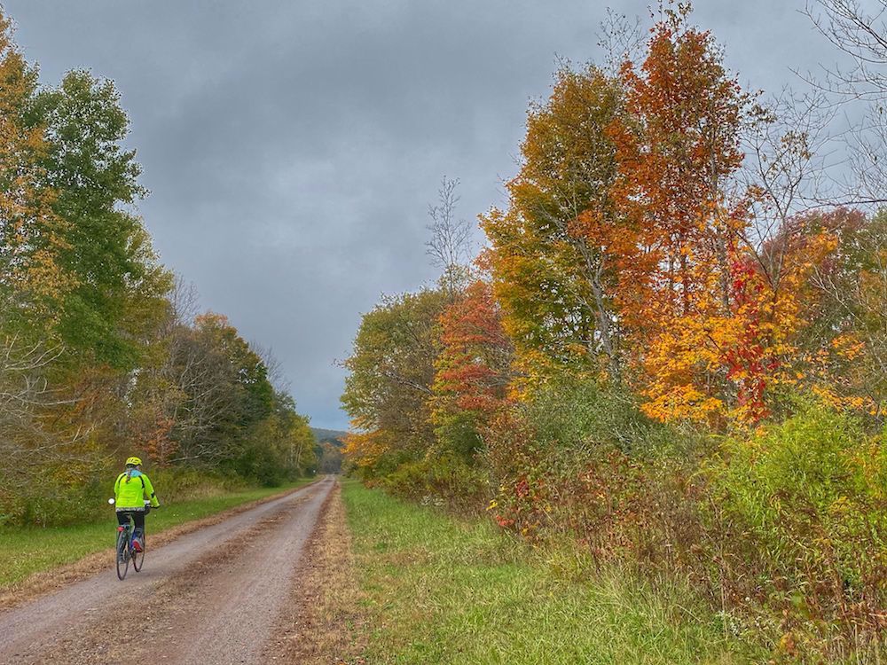 allegheny passage bike tours