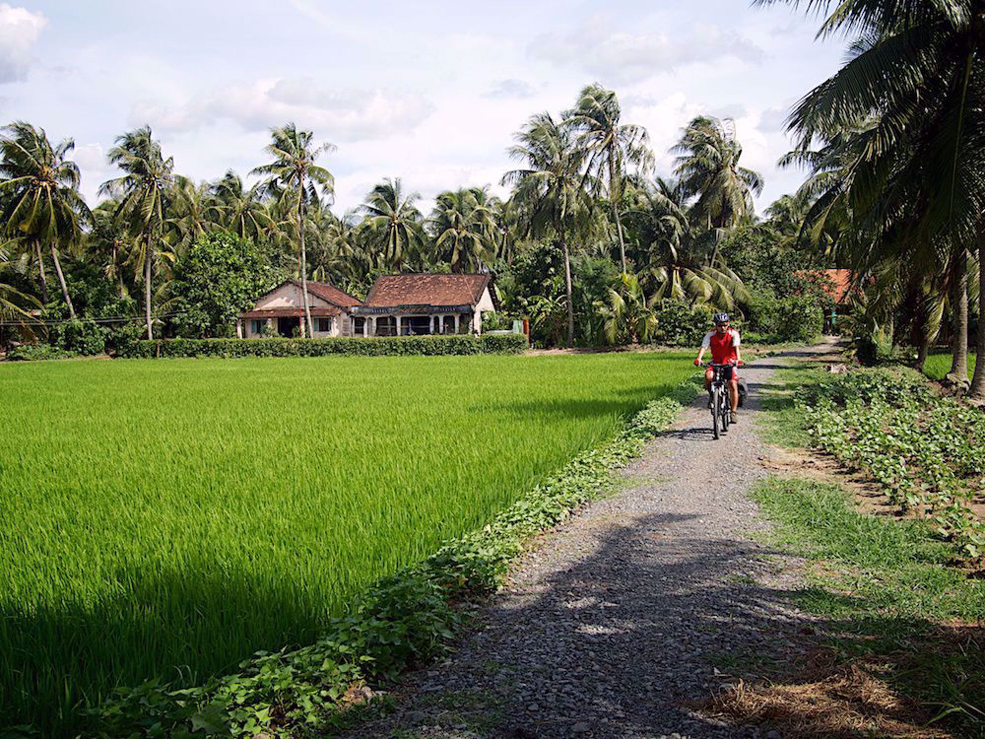 Biking Mekong Delta Vietnam