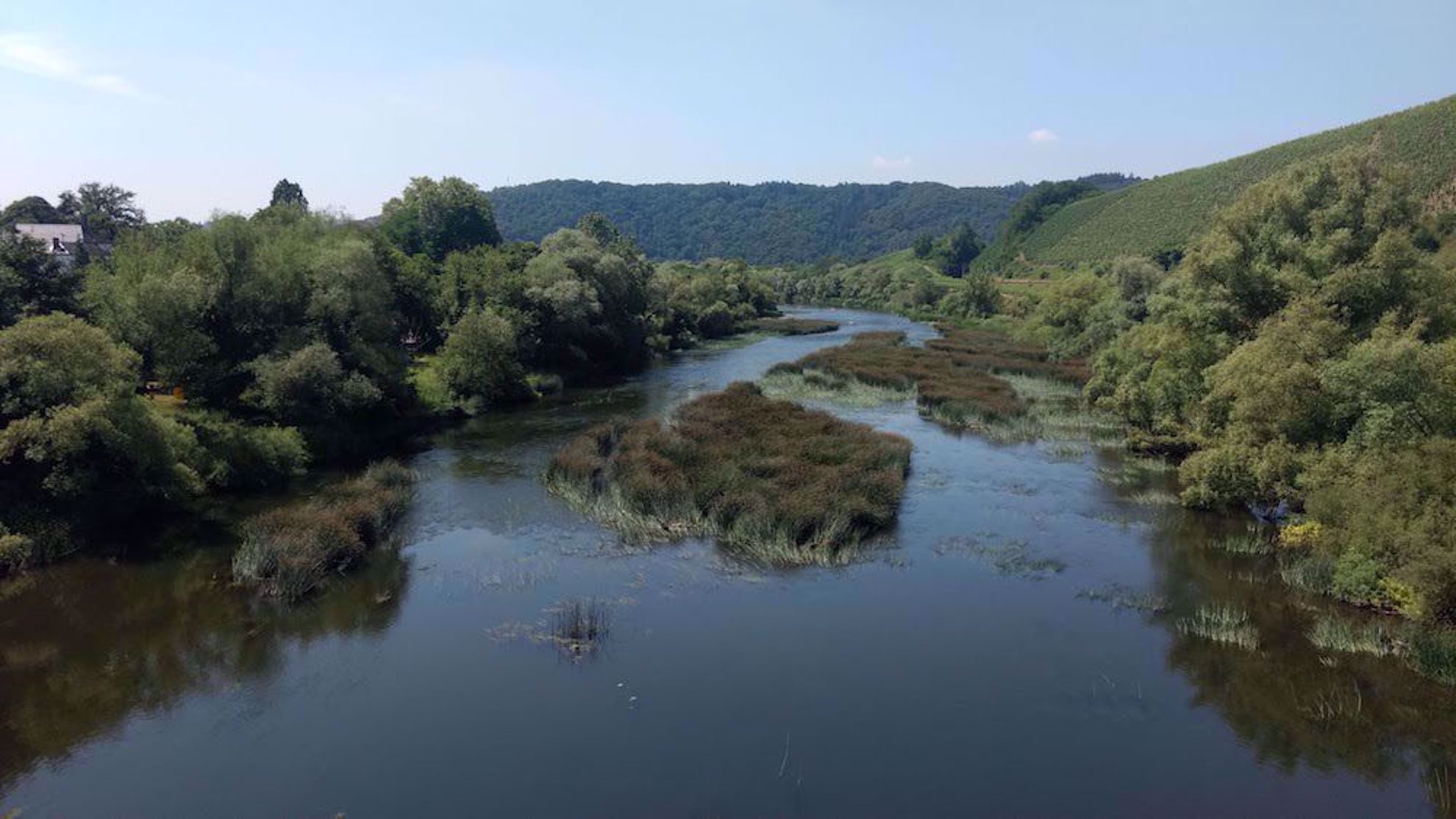 River wetland along Moselle