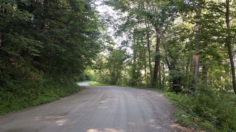 green mountain bike trail