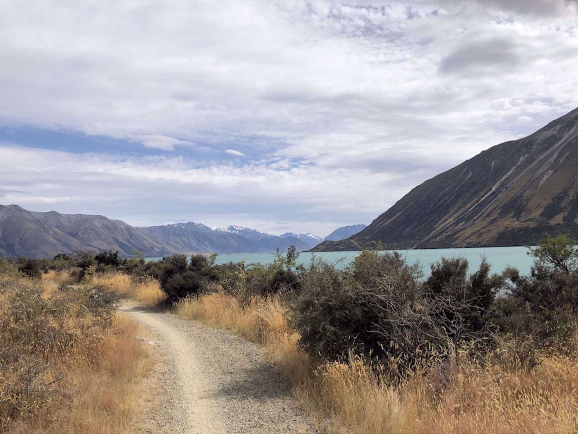 New Zealand bike trail Lake Ohau