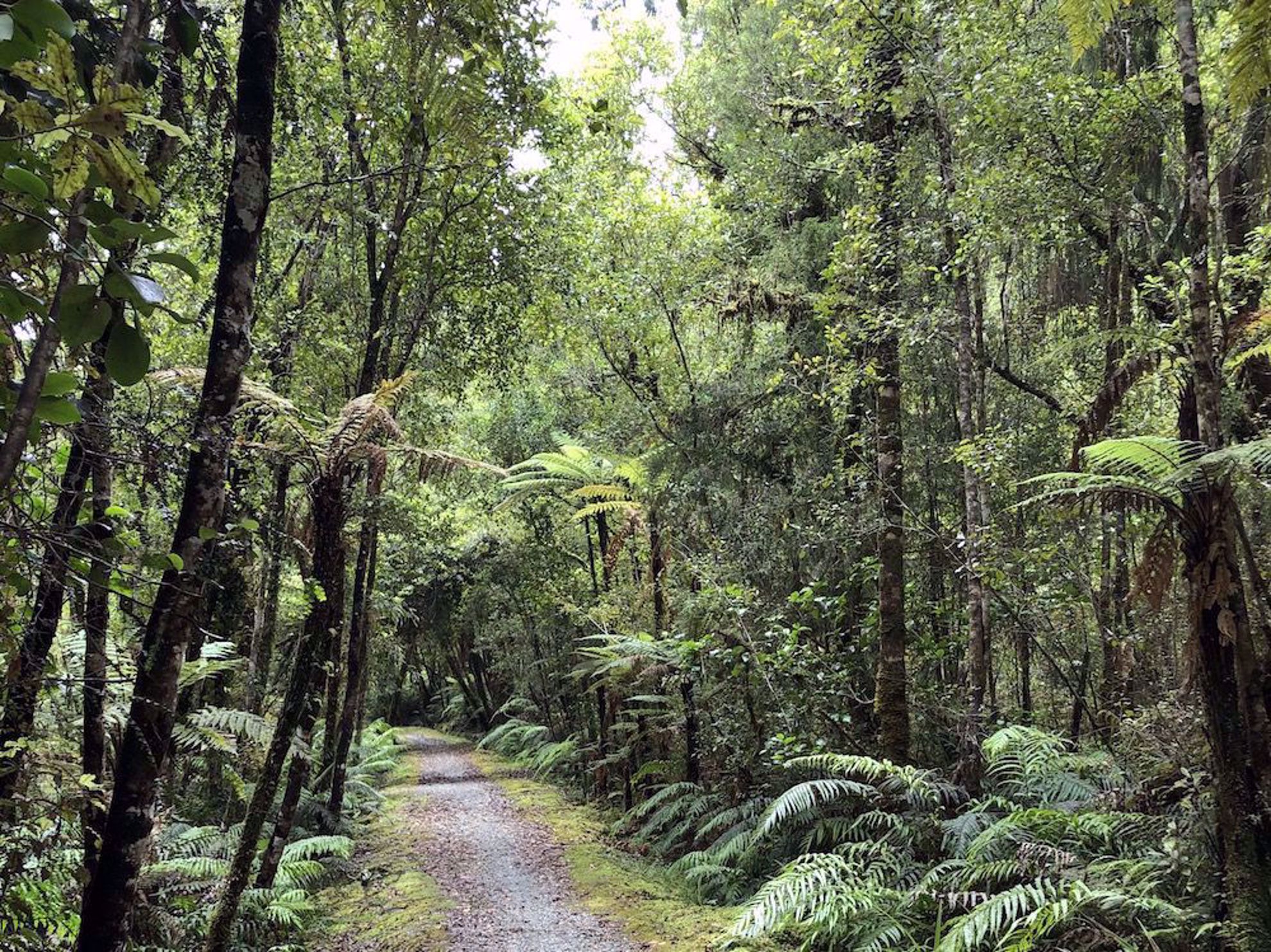 West Coast Wilderness Trail, New Zealand