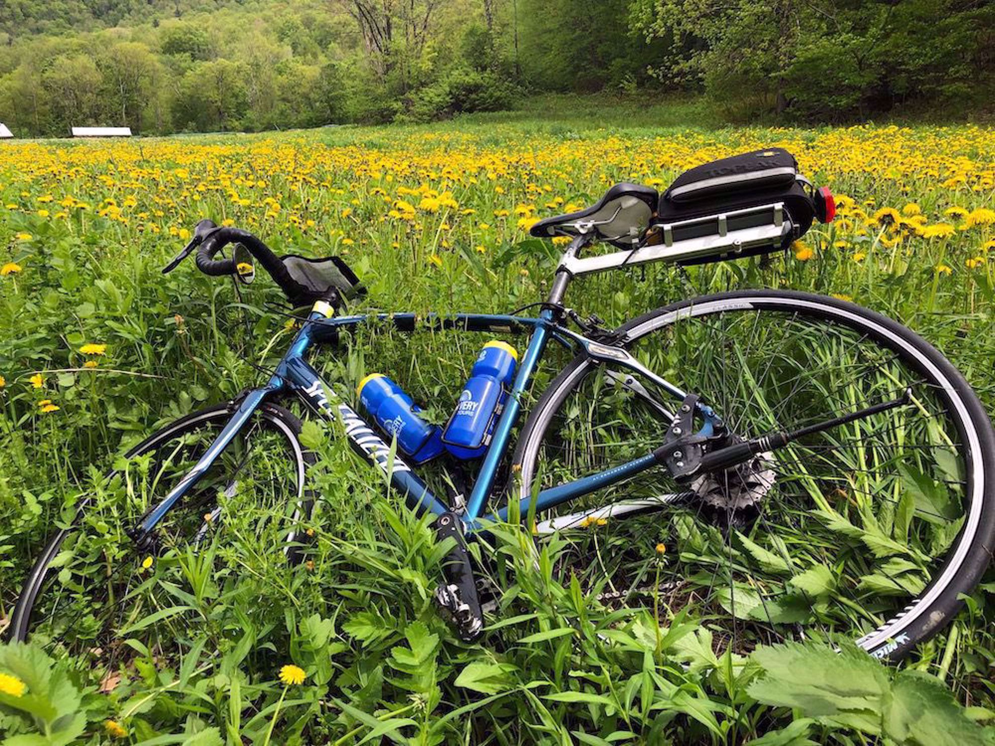 Discovery bike in meadow
