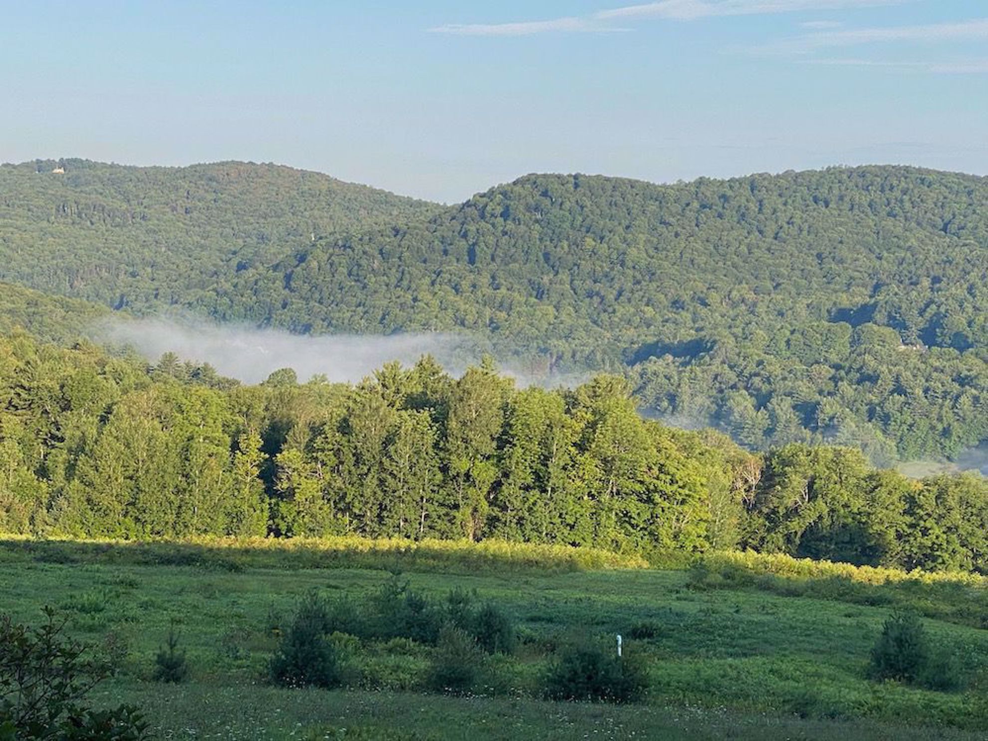 mist on the Green Mountains