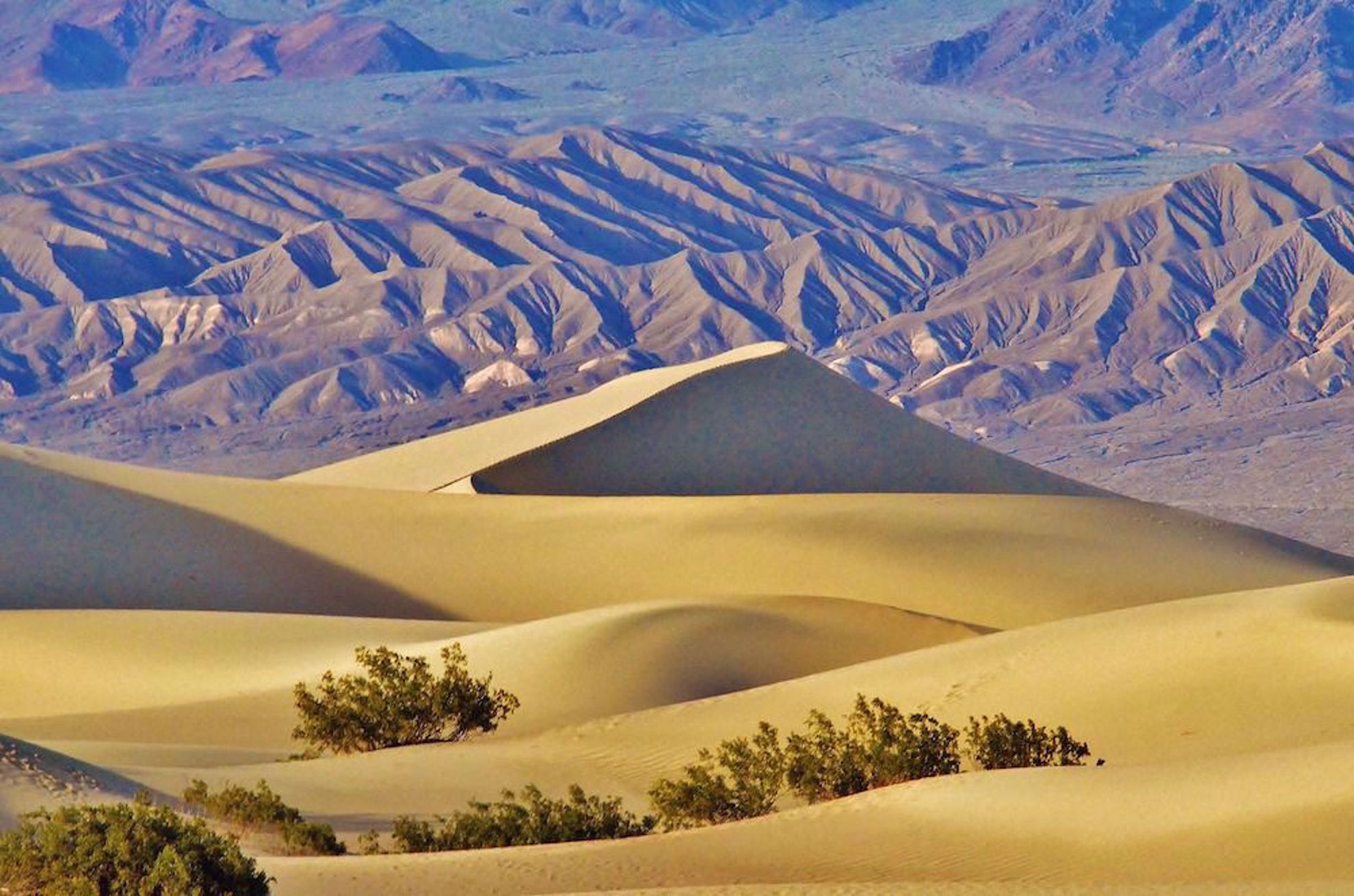 Mesquite Flats, Death Valley
