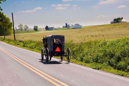 Amish buggy with kids