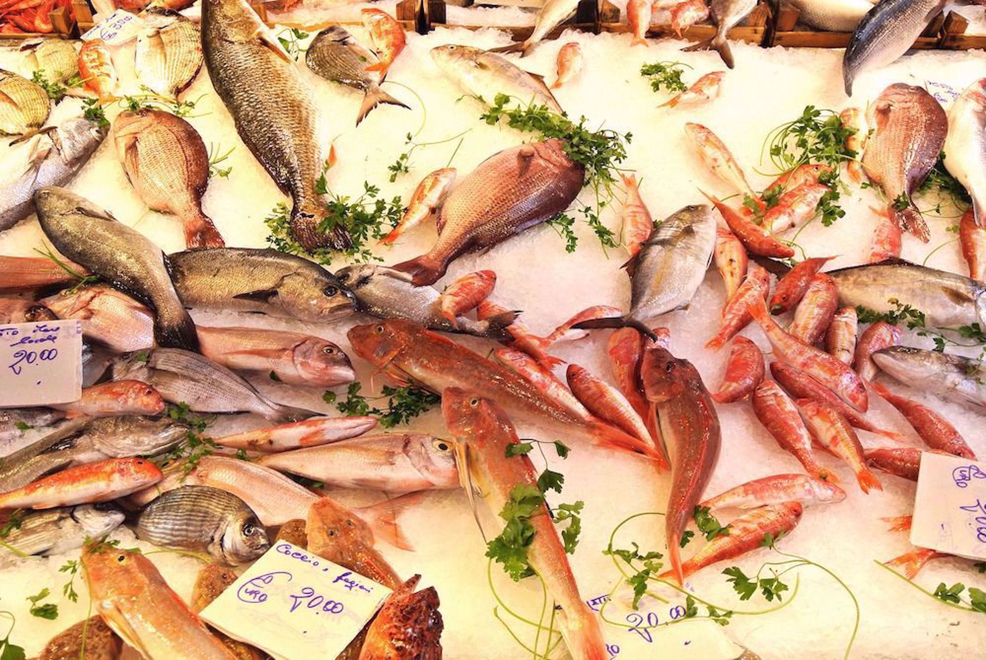 Fish at the market in Sicily