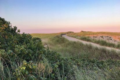Cape Cod beach with path