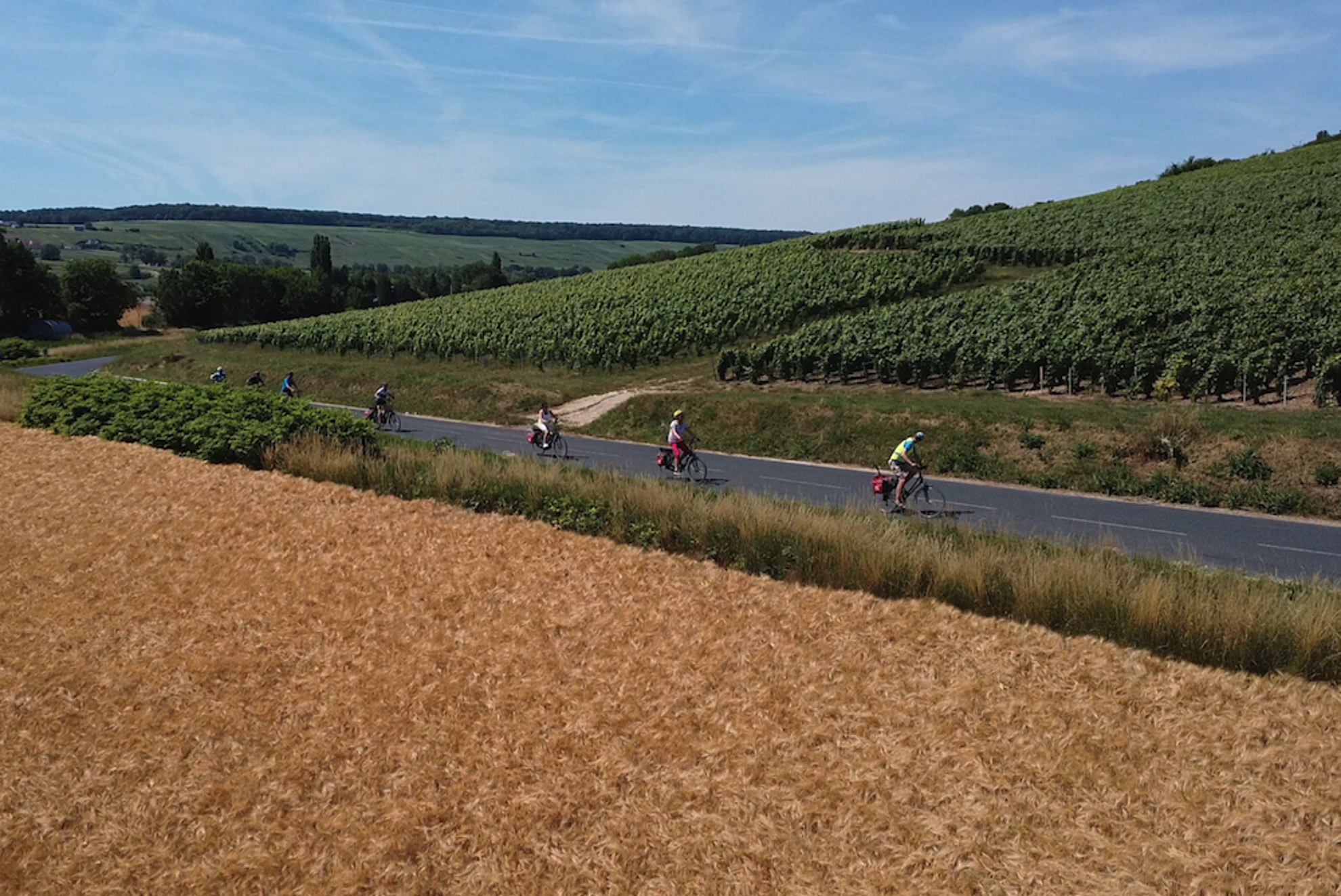 Biking in vineyard area Champagne region