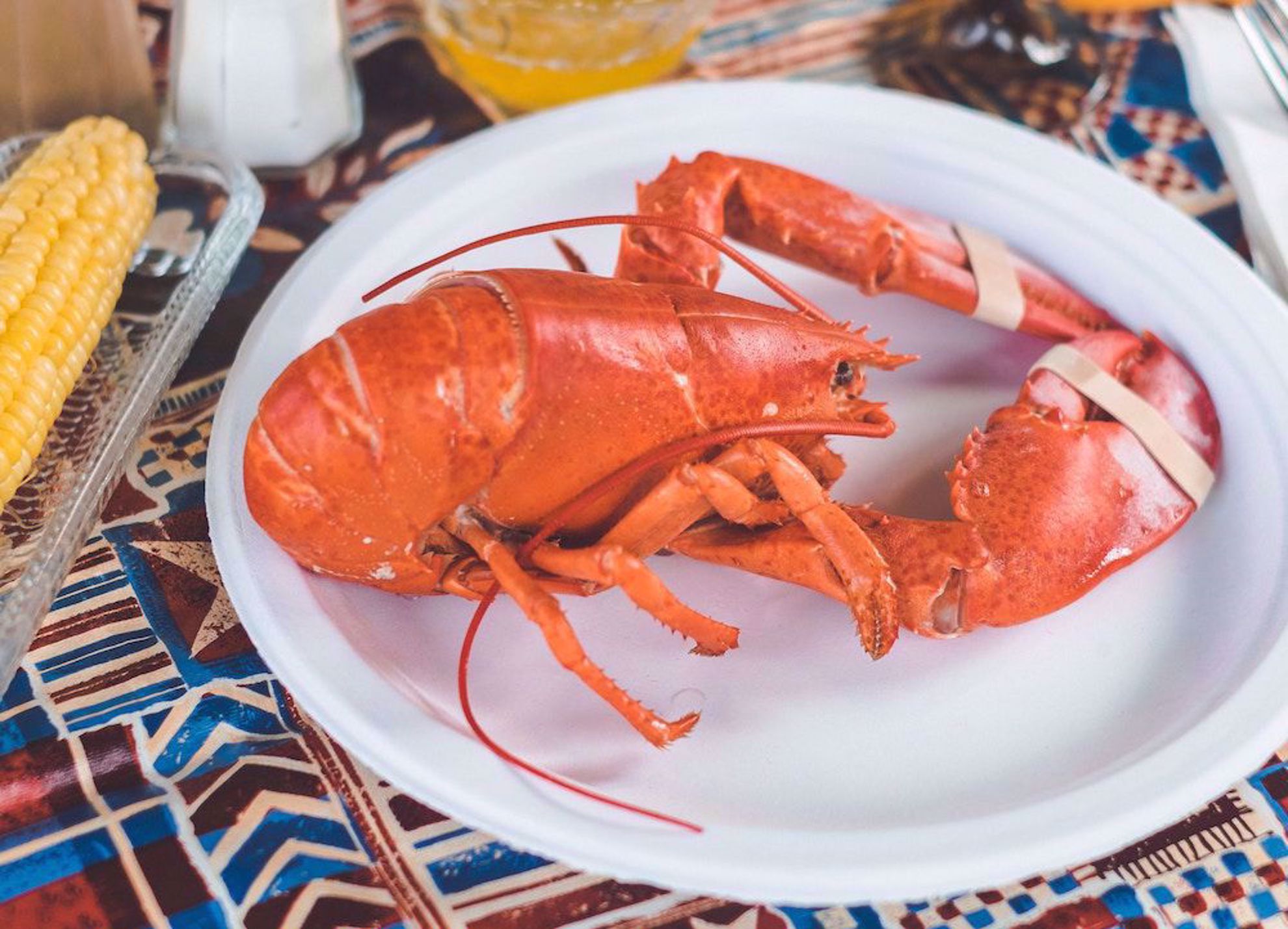 Lobster Meals