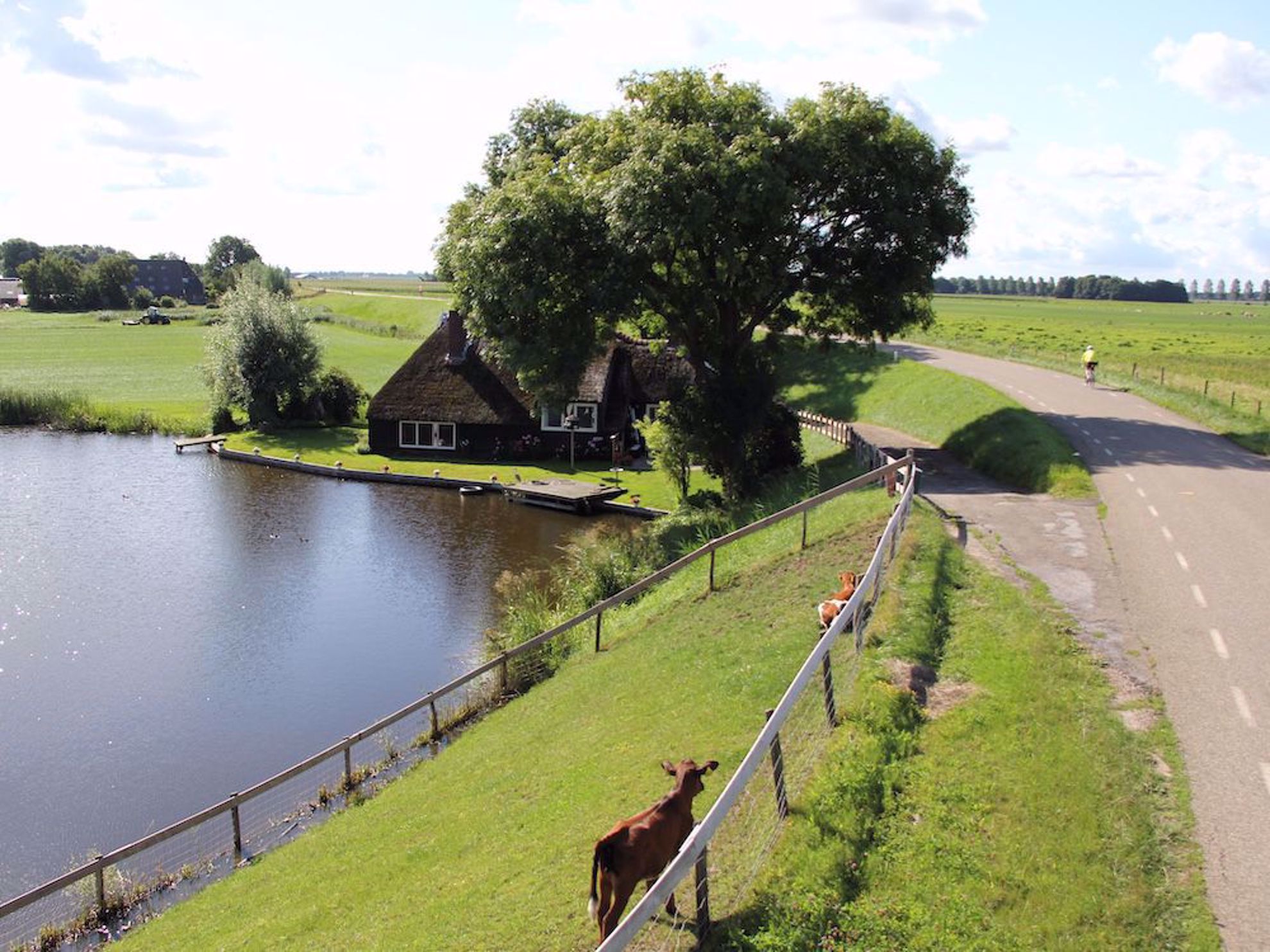 Bike paths in the Netherlands