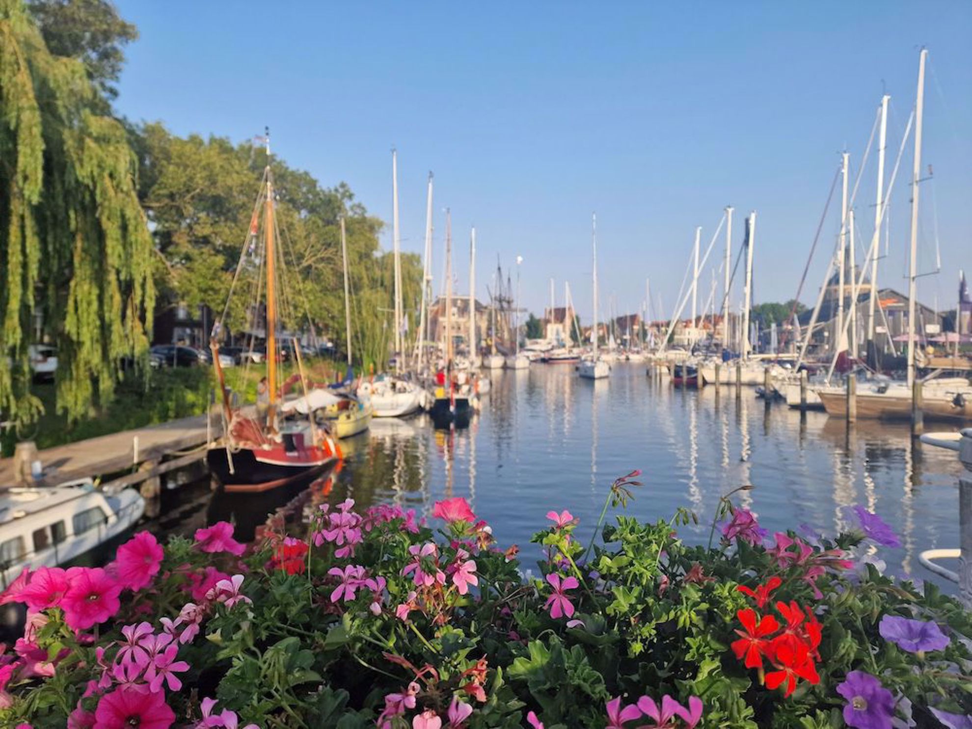 Enkhuizen with boats and flowers