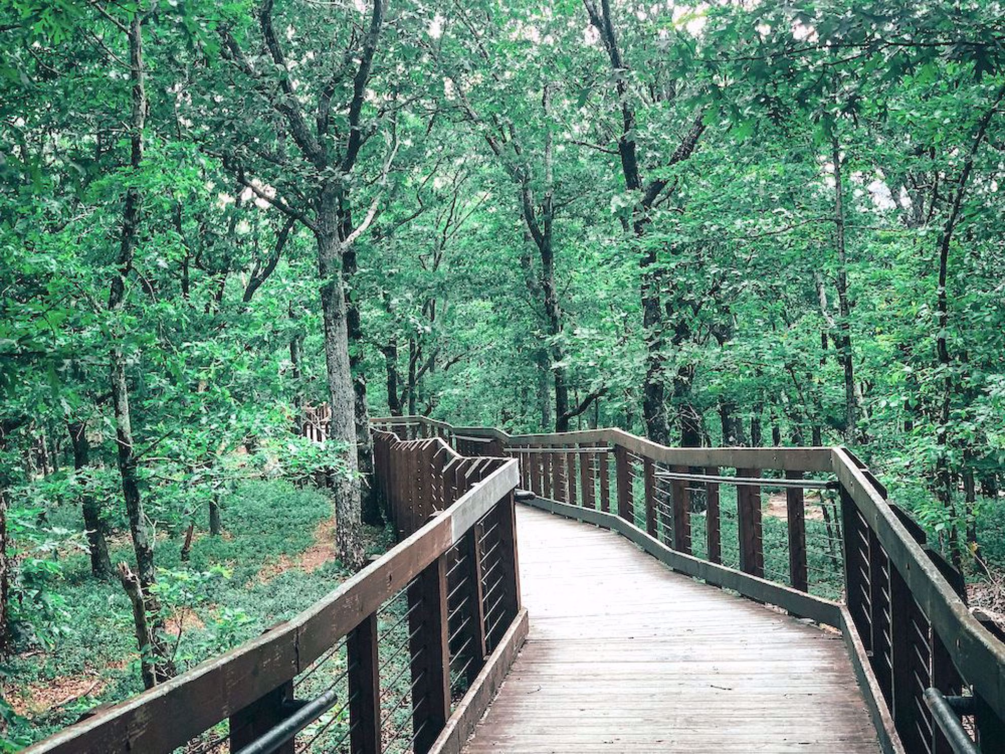 Mt. Cheaha State Park