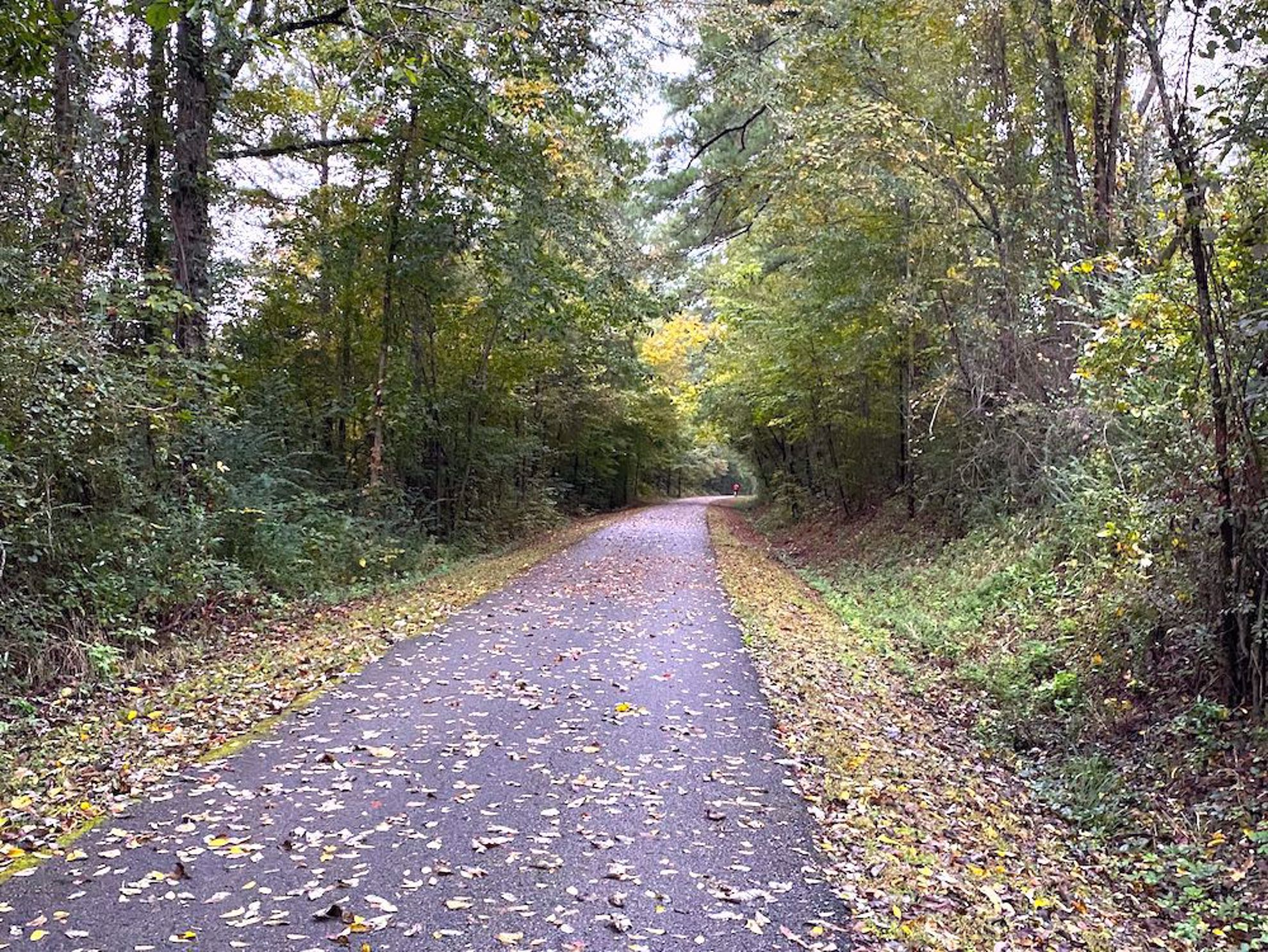 Chief Ladiga Trail in fall