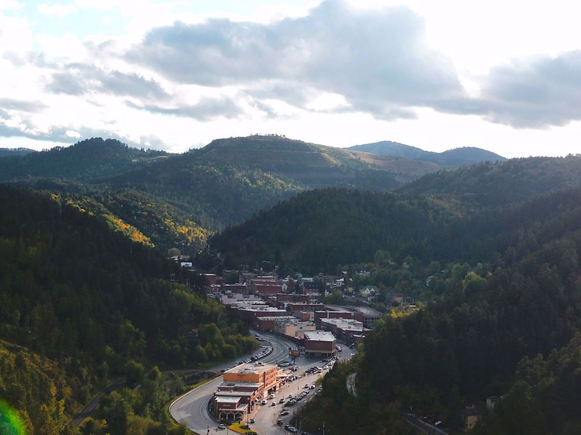 Deadwood from the air