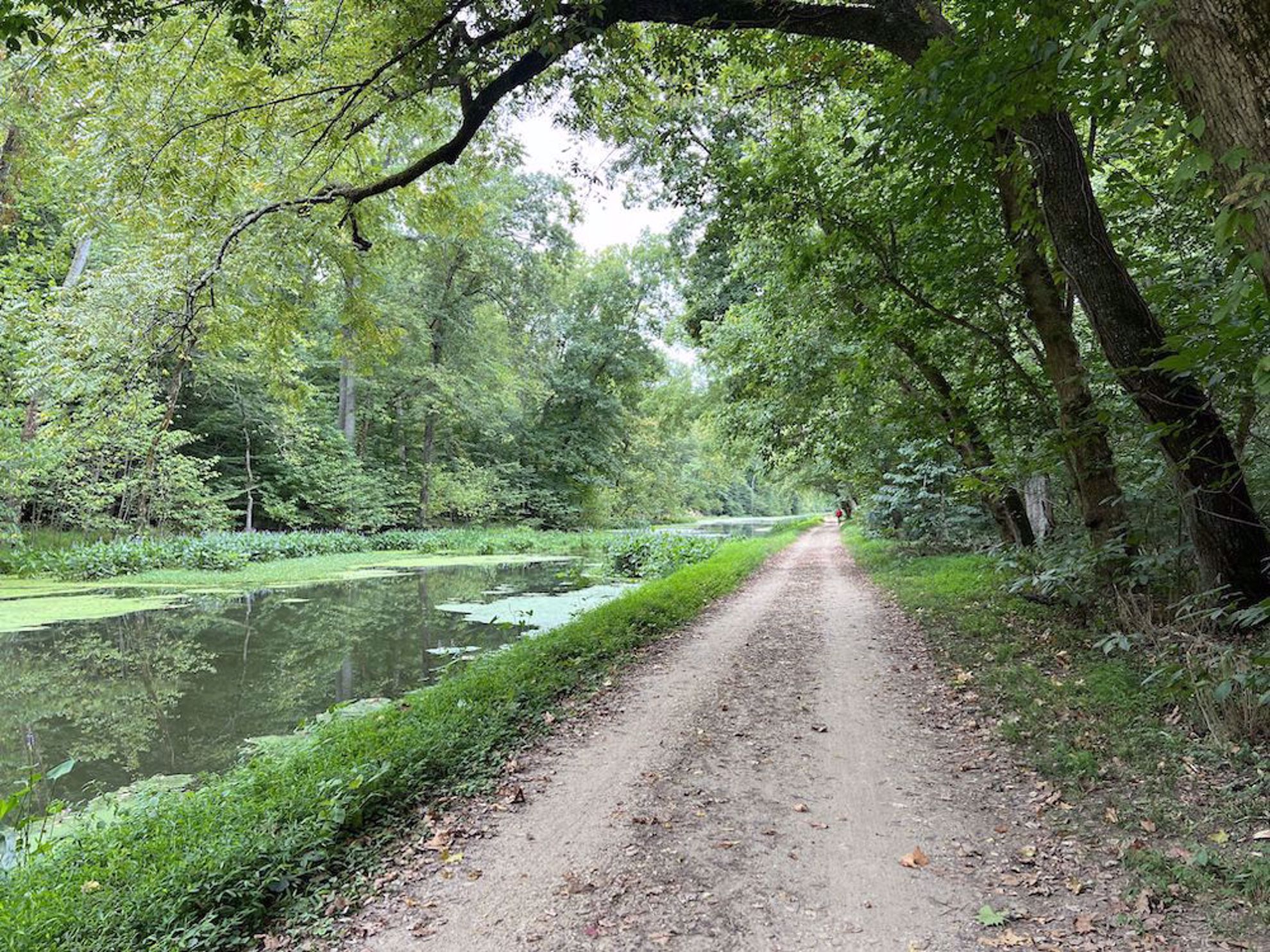 C&O Canal trail with canal